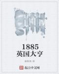 1885英国大亨抄袭那本