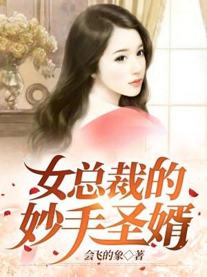 女总裁的神级婿