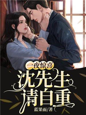 一夜惊喜沈先生请自重txt